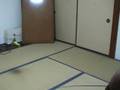 E-skyラマのホバリング&ピルエット