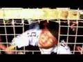 TMK wanaume Halisi Documentary