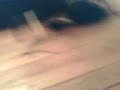 Guy trips on floor then beats up guy filming.(HD)