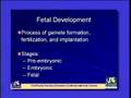 NCLEX® EXCEL! - Maternity & Female Reproductive Nursing