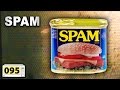 Is It A Good Idea To Microwave Spam?