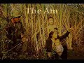 Vietnam War - A History Vietnam War - A History