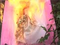 I will survive V2.0