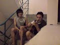 Tak bisa memliki by dygta (cover)