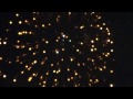2011多摩川花火大会.