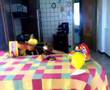 videos de guitar band