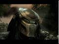 Aliens VS Predator ( Predator ) Aliens VS Predator ( Predator )