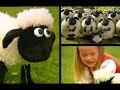Shaun the Sheep Toys