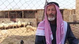 تقوع تاريخ وحضارة - Tuqu' History & Civilization تقوع تاريخ وحضارة - Tuqu' History & Civilization