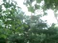 fireworks on a stringline