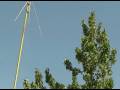 Re: Peregrine Falcon(?) Moves In after Harris Fire, Part 2
