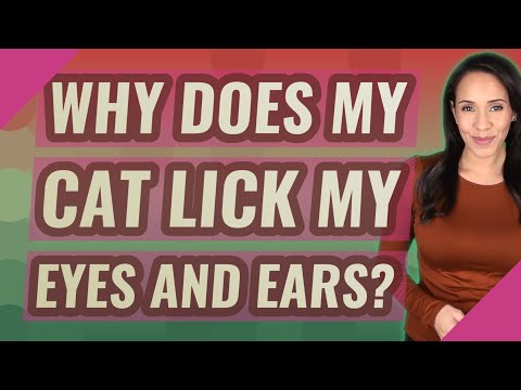 Why does my cat lick my eyes and ears?