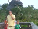 Great Blue Heron Flies off