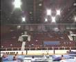 Yasuhiro UEYAMA - Trampoline