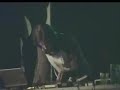Aphex Twin live in Rome 2002 Aphex Twin live in Rome 2002