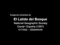 El Descorche (Recurso renovable)