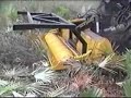 Amazing how MERI crusher grinds almost anything from small trees, stumps and branches with its extra hard carbide teeth. The crusher is able to crush up to 10 inches below ground level depending on model. The crusher has low power demand compared to its crushing capacity. The MERI crusher is equipped with a built-in safety clutch that protects the transmission components from too high torque peaks. Module-based design enables you to choose the right equipment for your specific needs. The crusher can be mounted on different base machines either in the rear or front. For more information go to www.hakmet.com