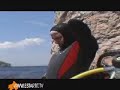 diving school LA SIRENA L\ diving school LA SIRENA L\