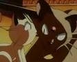 Feline Pokemon AMV - Whispers in the Dark