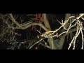 Uzi and Ari Mountain/Molehill Music Video
