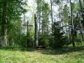 1952 metų Lietuvos partizanų bunkeris Gulbino miške 2009-05-24.