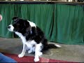BalanceTreat progress-Arlie