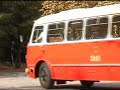 Krakowski Og�rek