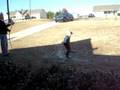 videos de Natas (Jade's pit bull) doing his back flips in the front yard