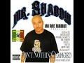 Mr Shadow- Gun Shots