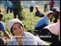 Happiness Is DPRK