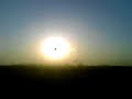 doted sun.............