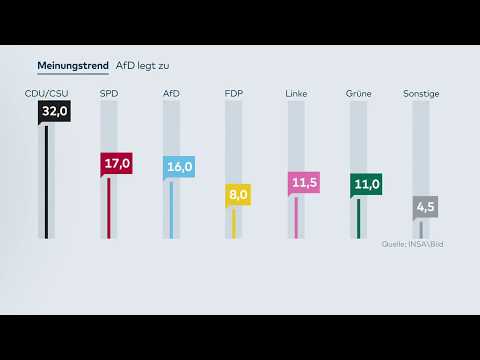 INSA-UMFRAGE: Die AfD legt wieder zu – nur ein Proz ...