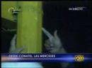 El Comandante de la Policía Metropolitana declara a la medios de comunicación sobre la segunda confrontación ocurrida en las protestas en cercanías de CONATEL se debió a disparos que hicieron manifestantes desde la autopista, hechos ocurridos frente a las instalaciones de CONATEL en Caracas - Venezuela el día 27/05/2007 a las 8.40 PM.Esta es una serie de videos que pretenden mostrar como se mueven los hilos del golpismo en Venezuela, de la mano de la oposición política y mediática de derecha en contra del avance del Proceso Revolucionario Socialista Venezolano liderado por el Presidente Constitucional Hugo Rafael Chávez Frías y del glorioso pueblo Venezolano.La intención es clara, derrocar al Presidente Constitucional de Venezuela Hugo Rafael Chávez Frías. Video a Video, Gota a Gota iremos desmantelando los verdaderos ejecutores encubiertos de todas estas manifestaciones con doble propósito.Videos Cortesía de VTV, Programa 