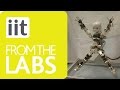 iCub exercising