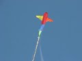 How to Fly a Kite (wind niche) like posting a video on YT How to Fly a Kite (wind niche) like posting a video on YT