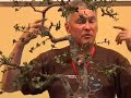 Walter Pall bonsai demo: Phillyrea latifolia - part 3/3