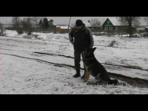 YouTube Трейлер