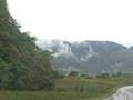 Pinar del Rio