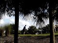 golfers get anal... as in anal sex please ignore the idiots that have been recently commenting my amazing video
