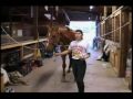 Vita Lobelle - Healing the Horse's Spirit - 2 of 3