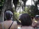 Jardim Bot�nico - Espa�o Ant�nio Carlos Jobim