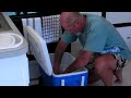 Crabbing in Gig Harbot