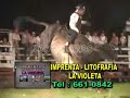 LOS TAURINOS TOROS PROTAGONISTAS FINAL 07 P2 LOS TAURINOS TOROS PROTAGONISTAS FINAL 07 P2
