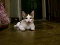 I Done Played TOO HARD!