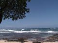 Whale Watcing 