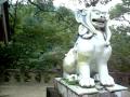 さとうゆうじが見た景色～有田の陶山神社 /saga arita tozan shrine～