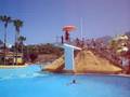 videos de Best dive bomb ever!