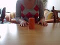 bekertje snel bekertje snel