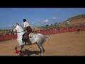 Rejones en Cervera de la Cañada Rejones en Cervera de la Cañada