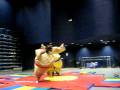 Sumo Suit fun